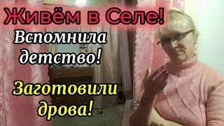 ЖИЗНЬ в СЕЛЕ! ВСПОМНИЛА ДЕТСТВО. НА КУХНЕ. ДРОВА В ДРОВНИК!