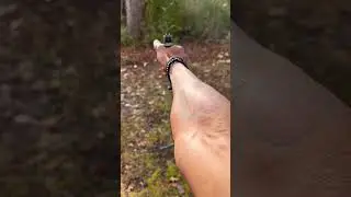 Psa Dagger compact w/ Glock Compensator 🔥🔥 #9mm #everydaycarry #psadagger #trending #shorts #viral