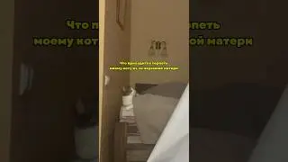 Только не обращайтесь в службу помощи животным после этого видео, пожалуйста…….