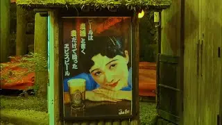 Yamaguchi's Amazing Restaurant (Japan Vlog)