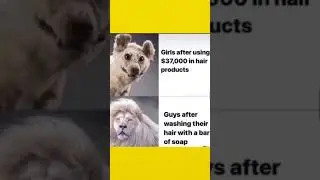 Funny Memes to share with friends 