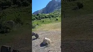 Что бы, там, ни говорили, мы вершину покорили 