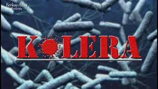 Cholera - The Great Cholera Epidemic