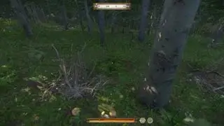 Kingdom Come: Deliverance Bohemian Mushroom Racing 2: The Marathon Mushroom
