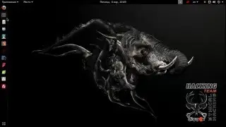 Kali Linux Tools - WIG. WebApp Information Gatherer