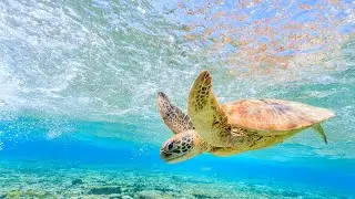 Relaxing Ambience Music for Stress Relief, Calming and Focusing Study Ambient Music