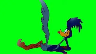 ROAD RUNNER GREEN SCREEN (FREE TO USE)