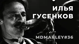 ИЛЬЯ ГУСЕНКОВ / Метроном дедушки Марли #MDMarley