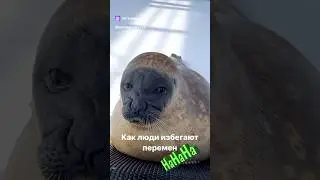 Переменены! Неееее, не слыхали🤣