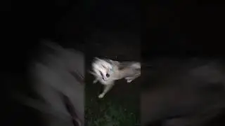 12 июня 2024 г.