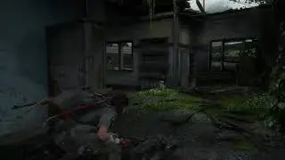 Last of us 2 - Сиетл День 2. Ночной лут