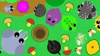 MOPE.IO ВЕСЕЛЫЕ ЖИВОТНЫЕ В МОПИО - ВЫЖИВАНИЕ ЗВЕРЕЙ ИО ИГРЕ МОРЕ ИО