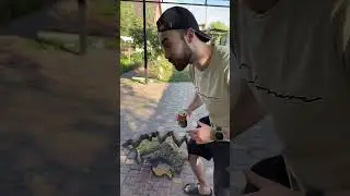 Самый мощный энергетик в мире