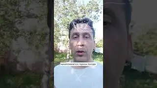 почему мы наедаемся на ночь?