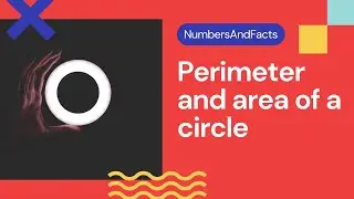 Effortless Circle Perimeter Calculation Using Radius!