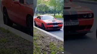 Много Доджа не бывает #dodge #dodgechallenger