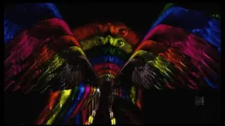La Selva Se Lo Llevo - Cienfue