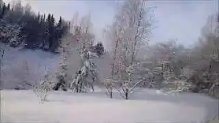 Прогулка по зимнему лесу.(Висер катыд)
