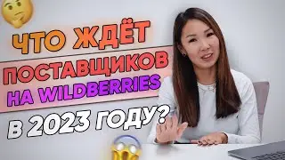 Какие ИЗМЕНЕНИЯ ДЛЯ ПОСТАВЩИКОВ будут на Wildberries в 2023 году?