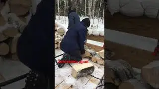 Заготовка дров 