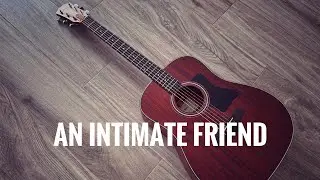 Taylor 320e Baritone Spring Limited Edition - Unplugged Room Mic