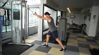Single Arm High Cable Row