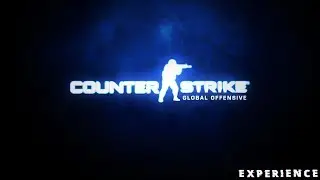 CS : GO EXPERIENCE