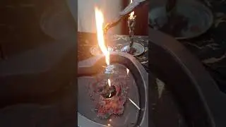 кабелинам и кончитам привалит 