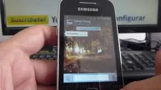 Como cambiar el tema fondo de whatsapp samsung Galaxy Y S5360 español Full HD
