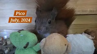 Part 10: Pico: July 2024