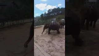Вьетнам,  Далат