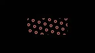 Заставка Focus Plus Cinema и заставка Битва экстрасенсов (мини-версия, 1-13 сезон)