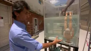 A IMPORTÂNCIA DO RALO DE FUNDO 