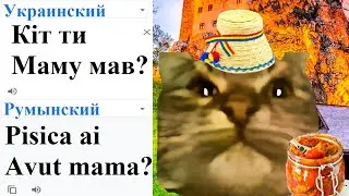 Kit Ti Mamu Mav in different languages ​​meme!
