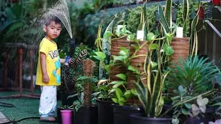 Harry Watering Plants
