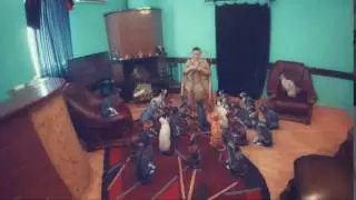 Супер-коты