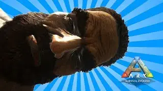 Murder, Sharks, and Kidnapping - Ark: Survival Evolved - Funny Moments