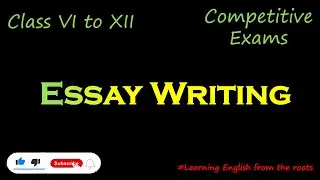 How to write a perfect Essay? Essay Writing in English