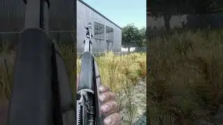 A Very Strange DayZ Death