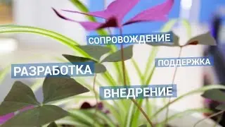 Работа в НПО «Компьютер». 2015 год