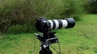 Zoom F4 Recorder On The Canon80d