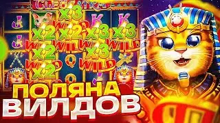 СИМКА ПОЙМАЛА МЕГАЗАНОС В КЛЕОКАТРЕ! ПРОСТО ОТЛИЧНАЯ СЕССИЯ! ЗАНОСТ НЕДЕЛИ