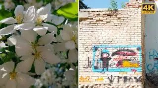 [4K] RUSSIA, Chelyabinsk: Central district | Forest walk | Walk together | #4Kwalk #DJI