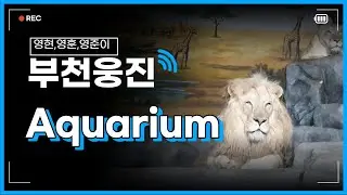 영현이랑)😎웅진 플레이아쿠아리움 부천😆 을 다녀왔습니다