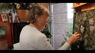 Penny Pate Dillon Paints with Passion