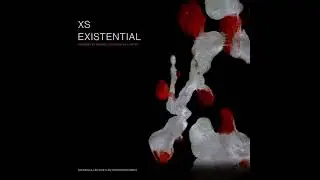 𝑷𝒓𝒆𝒎𝒊𝒆𝒓𝒆: XS - Feelin Nice (I7HVN Dawn Remix)