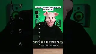 Are you a real Phonk fan?😈 #phonk #music #фонк