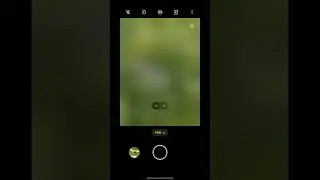 #mobilephotography #naturephotography #flowerphotography #shortvideo #youtubeshorts