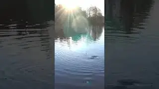 ЩУКОЛЕЩ сделал две свечки и удрал😃 #рыбалка2024 #рыбалка #fishing