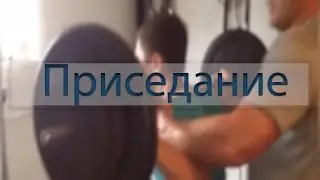 Приседания Сила//160x3x3//По русски